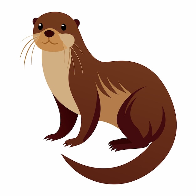 Ilustración vectorial realista de la nutria con fondo blanco sólido 12