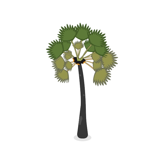 Ilustración vectorial realista de una palmera aislada sobre un fondo blanco