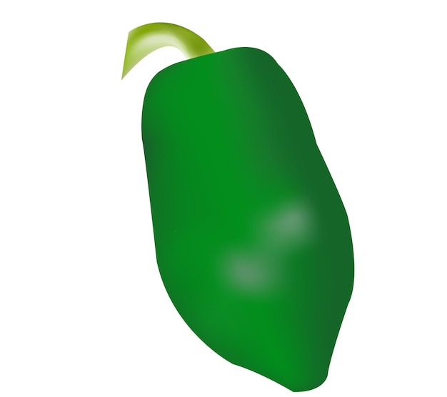 Ilustración vectorial realista de la papaya verde