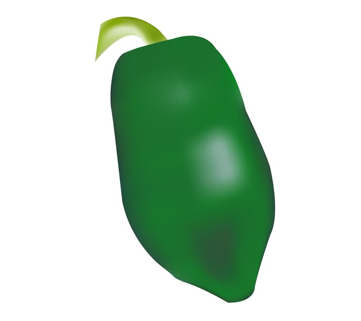 Vector ilustración vectorial realista de la papaya verde