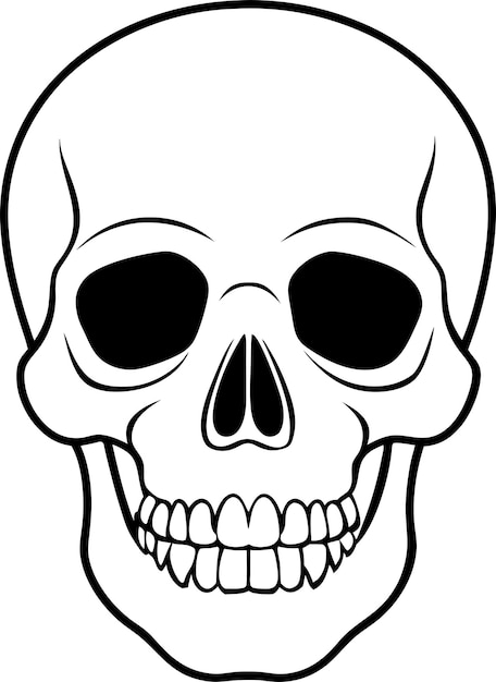 Ilustración vectorial realista de la silueta de la línea del cráneo