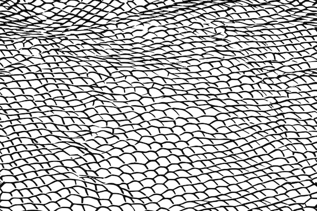 Ilustración vectorial de una red delineada en negro con una apariencia texturizada aislada en un blanco