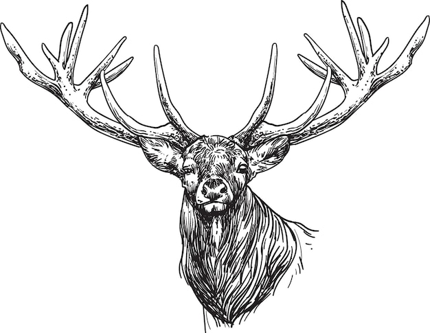 Ilustración vectorial del reno de Navidad dibujada a mano