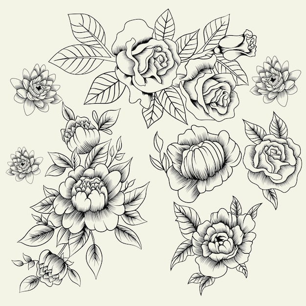 Vector ilustración vectorial de rosas rojas en blanco y negro