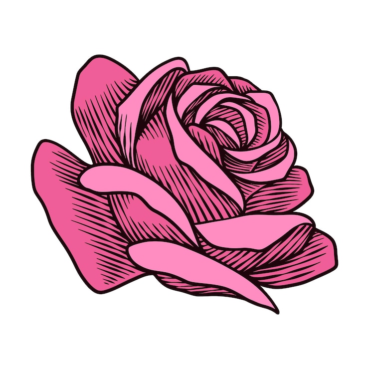 Vector ilustración vectorial de rosas vintage dibujadas a mano en rojo