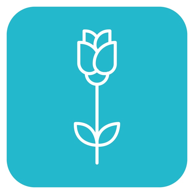 Ilustración vectorial de rosas
