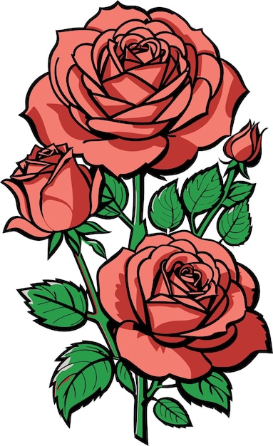 Vector ilustración vectorial de rosas