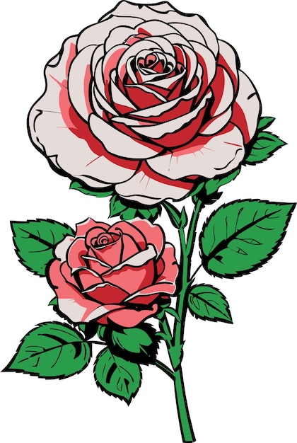 Vector ilustración vectorial de rosas