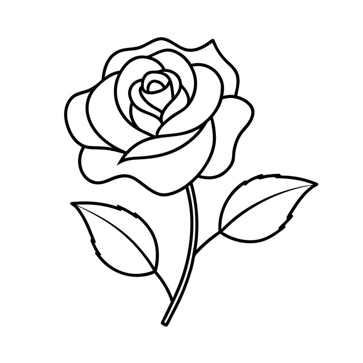 Ilustración vectorial de Rose Line Art