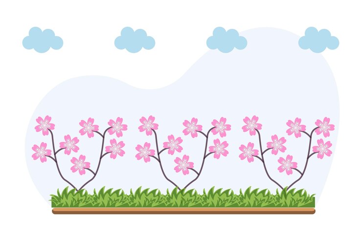 Vector ilustración vectorial de sakura