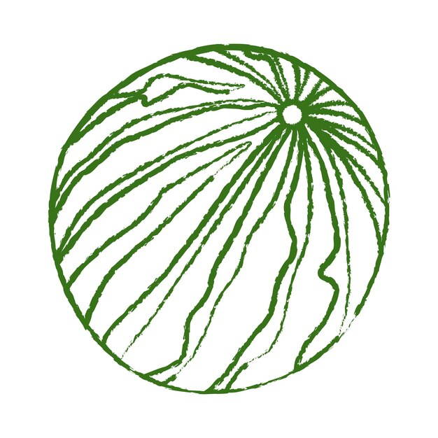 Ilustración vectorial de sandía dibujada a mano