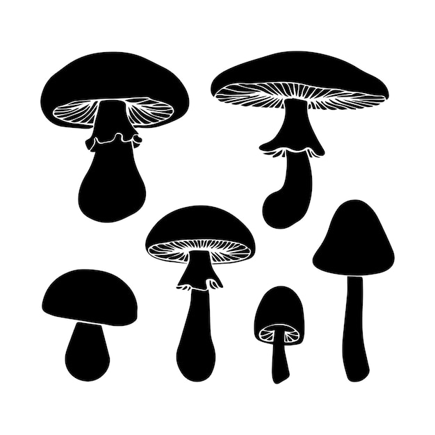 Una ilustración vectorial de seis tipos diferentes de siluetas de setas
