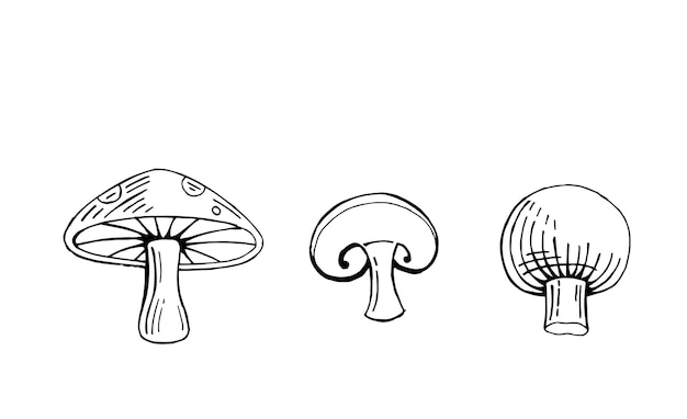 Ilustración vectorial de setas dibujada a mano