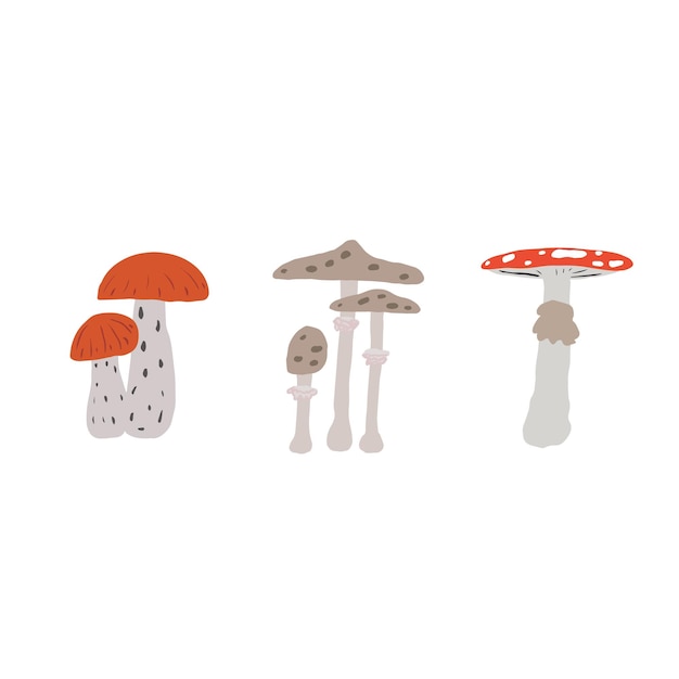 Ilustración vectorial de setas de otoño de colores sobre un fondo blanco