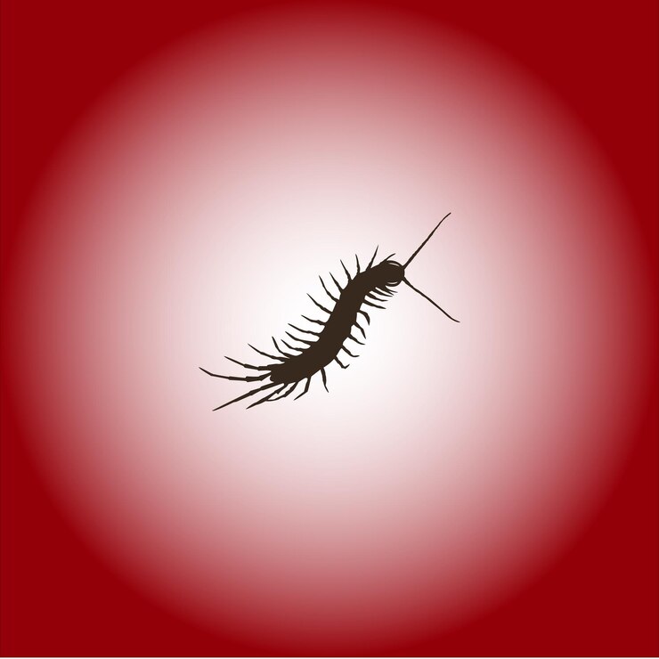 Vector ilustración vectorial de silueta de animal negro y fácil de editar en formato eps