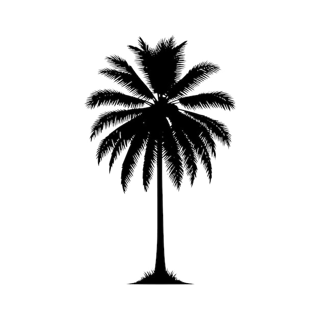 Ilustración vectorial de la silueta del árbol de coco