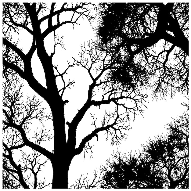 Ilustración vectorial de silueta de árbol negro con fondo transparente editable