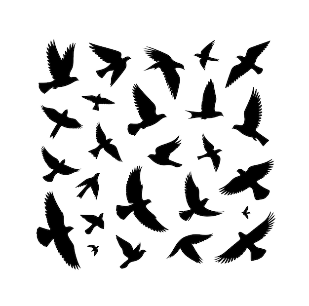 Ilustración vectorial de la silueta de las aves en vuelo