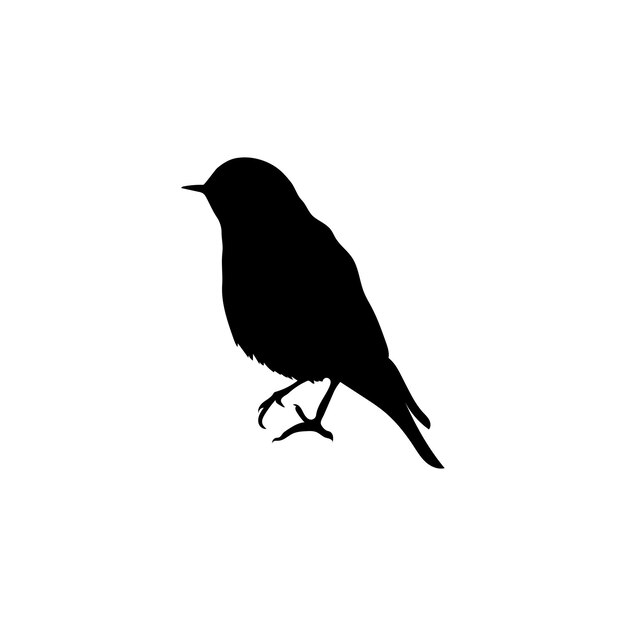 Ilustración vectorial de la silueta de las aves
