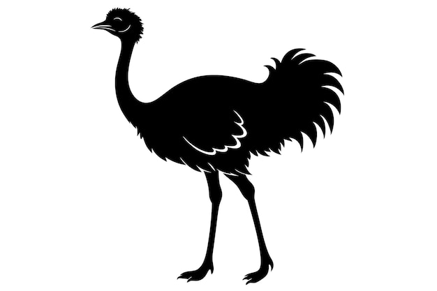 una ilustración vectorial de silueta de avestruz negra y blanca sobre un fondo blanco