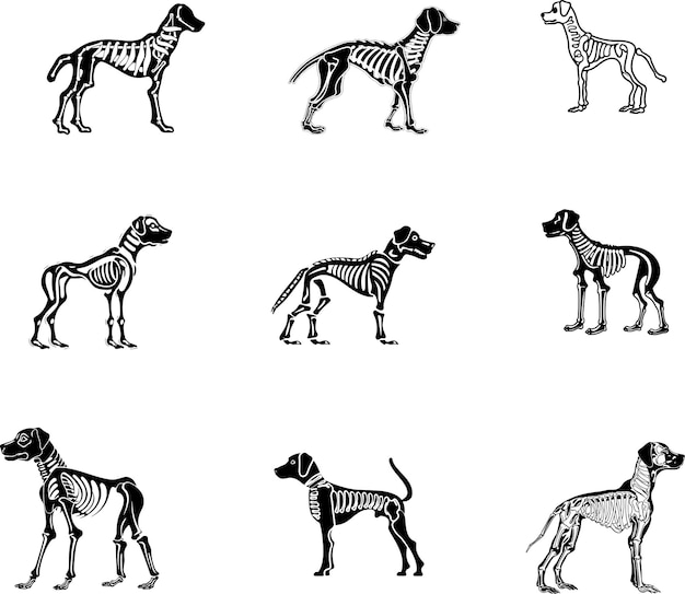 Ilustración vectorial de la silueta del esqueleto del perro