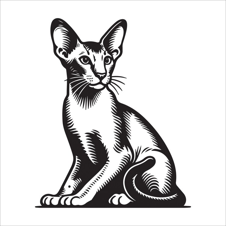 Ilustración vectorial de la silueta del gato de pelo corto oriental