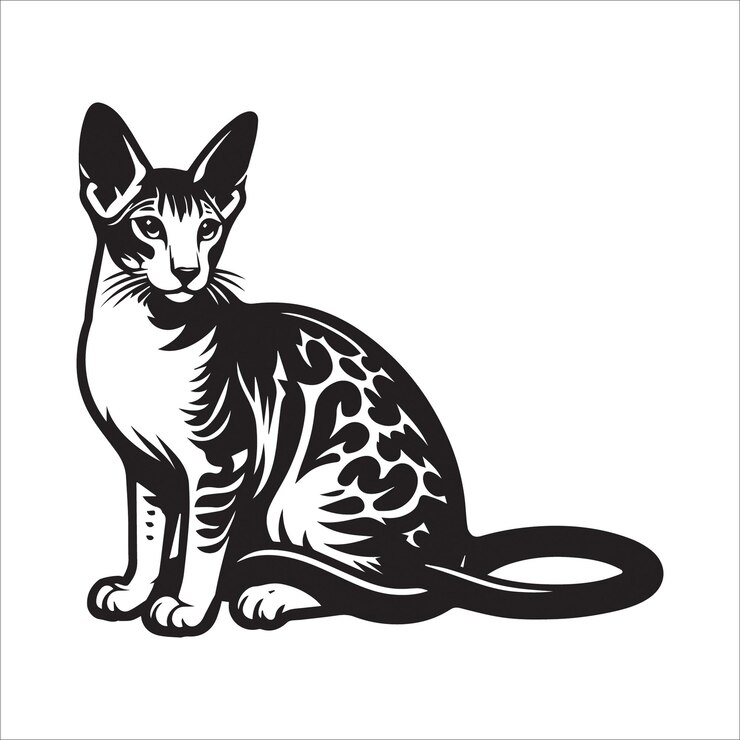 Ilustración vectorial de la silueta del gato de pelo corto oriental