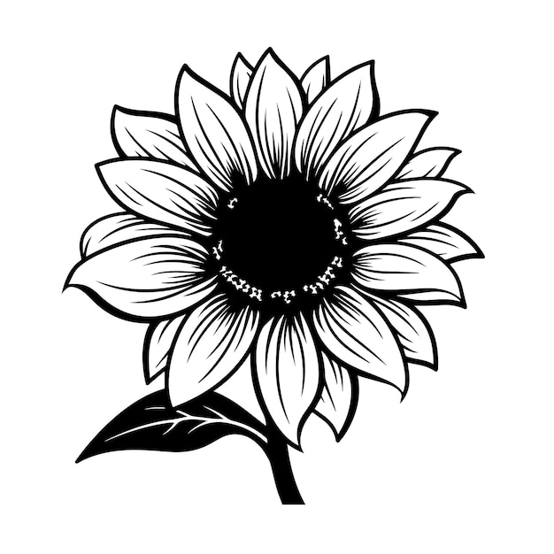 Ilustración vectorial de la silueta del girasol Ilustración vectorizada de la silhueta del girassol Icono y signo