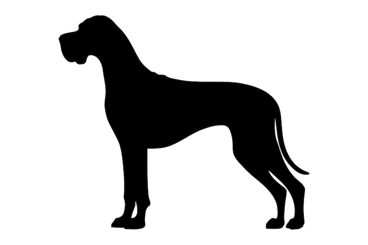 Vector ilustración vectorial de la silueta del gran perro danés