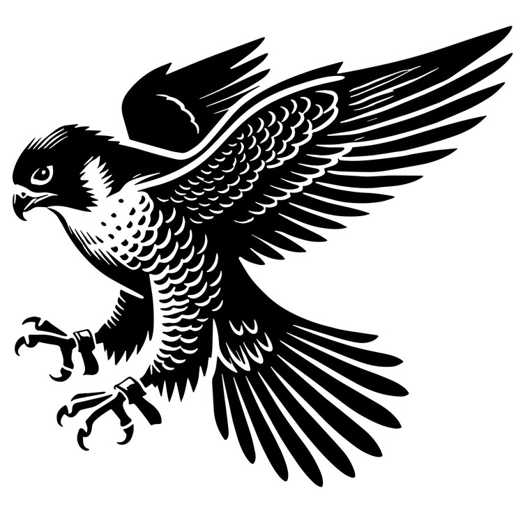 Vector ilustración vectorial de silueta de halcón peregrino de color negro fondo blanco sólido vector mínimo