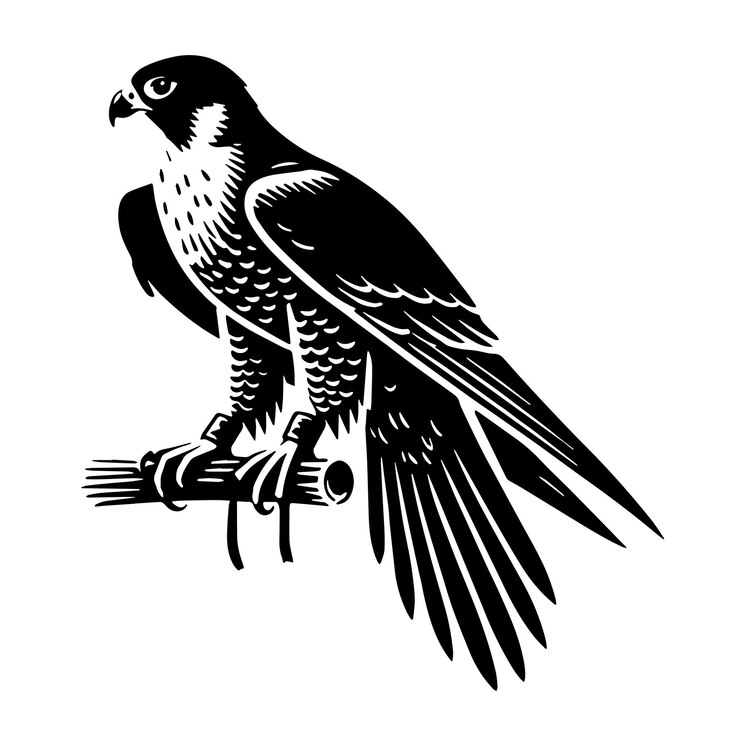 Vector ilustración vectorial de silueta de halcón peregrino de color negro fondo blanco sólido vector mínimo