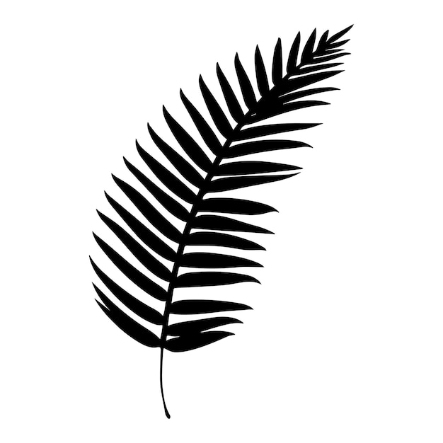 Vector ilustración vectorial de la silueta de una hoja de palma