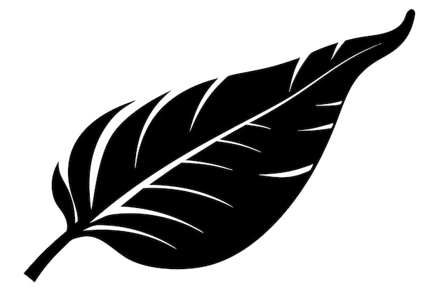 Ilustración vectorial de la silueta de la hoja de plátano