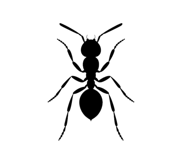 Ilustración vectorial de la silueta de las iconas de las hormigas