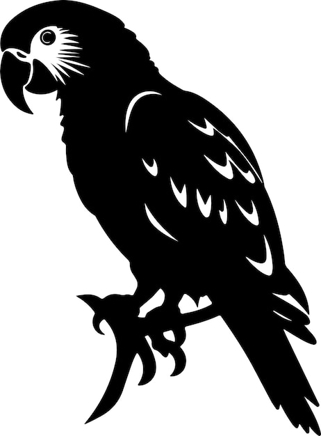 Ilustración vectorial de silueta de loro Fondo blanco