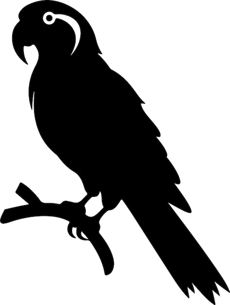Ilustración vectorial de silueta de loro Fondo blanco