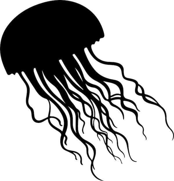 Ilustración vectorial de silueta de medusa Con fondo blanco