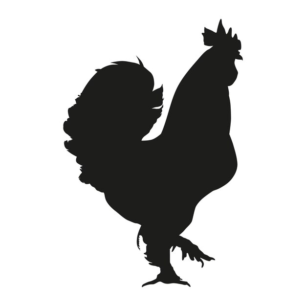 Ilustración vectorial Silueta negra de un diseño de gallo Pollo macho aislado en un blanco