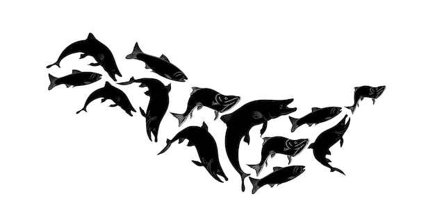 Ilustración vectorial de silueta negra de la escuela de peces salmón en blanco trucha de banco dibujada a mano bandada de nerka pescado marino pintado lineal Grupo de dibujo de sockeye en monocromo Elemento para la etiqueta del paquete