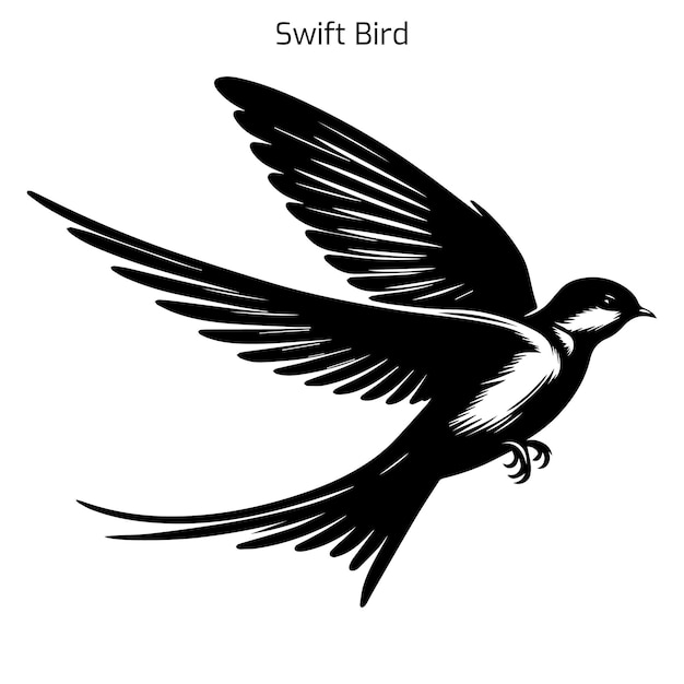 Ilustración vectorial de la silueta de un pájaro rápido