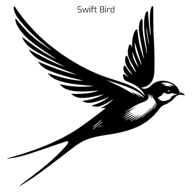 Ilustración vectorial de la silueta de un pájaro rápido