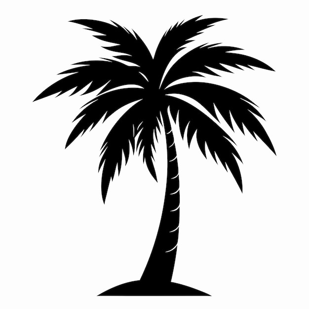 Ilustración vectorial de la silueta de la palma de coco tropical