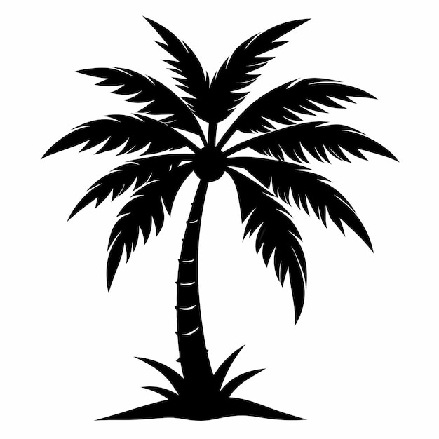 Ilustración vectorial de la silueta de la palma de coco tropical