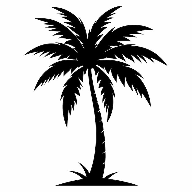 Ilustración vectorial de la silueta de la palma de coco tropical