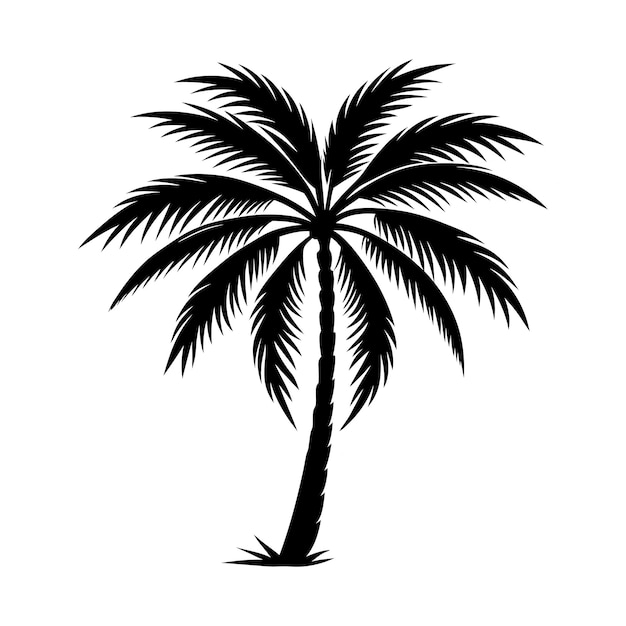 Ilustración vectorial de la silueta de una palmera