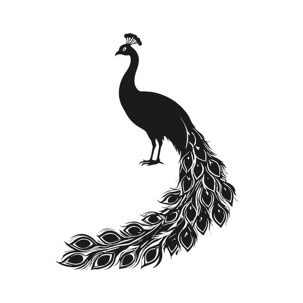 Ilustración vectorial de la silueta del pavo real