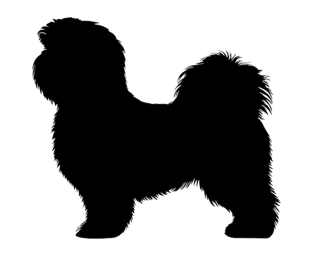 Vector ilustración vectorial de la silueta del perro shih tzu