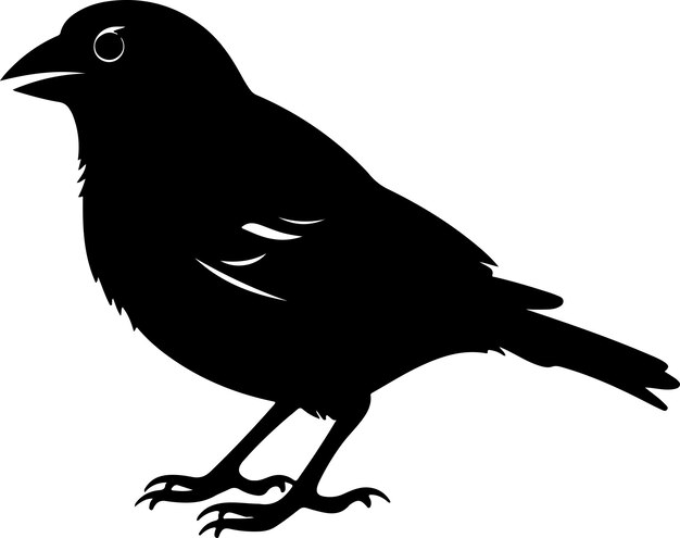 Ilustración vectorial de la silueta del pinzón Fondo blanco