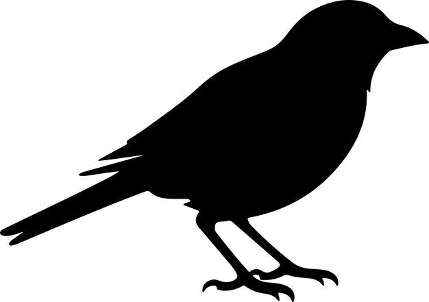 Ilustración vectorial de la silueta del pinzón Fondo blanco