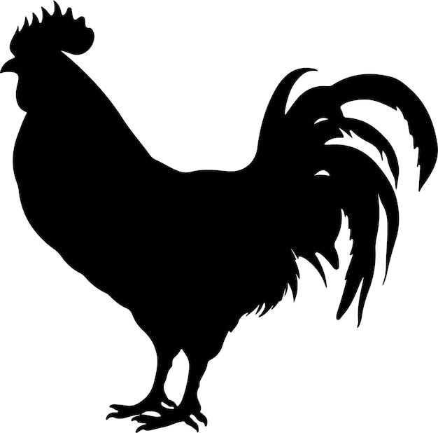 Ilustración vectorial de silueta de pollo Con fondo blanco